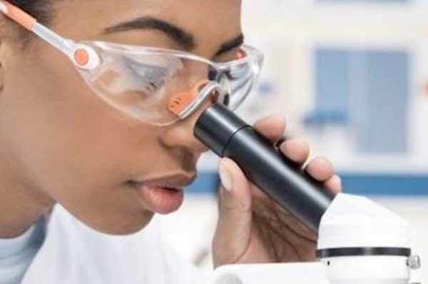 Des femmes scientifiques de 15 pays d’Afrique réunies à Dakar