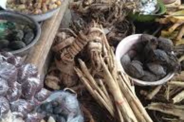 « La médecine traditionnelle peut contribuer à une couverture santé universelle en Afrique »